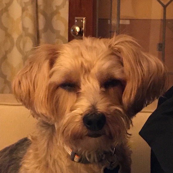 Meet your Posher, Wendy - Picture 4 of 4